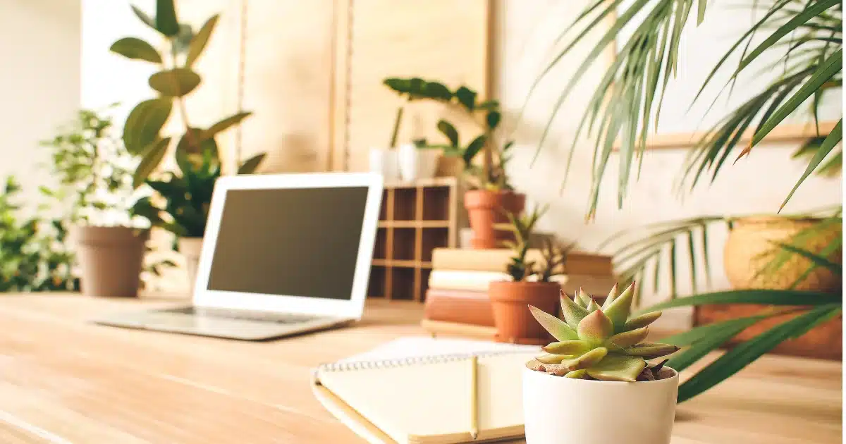 Plants in office