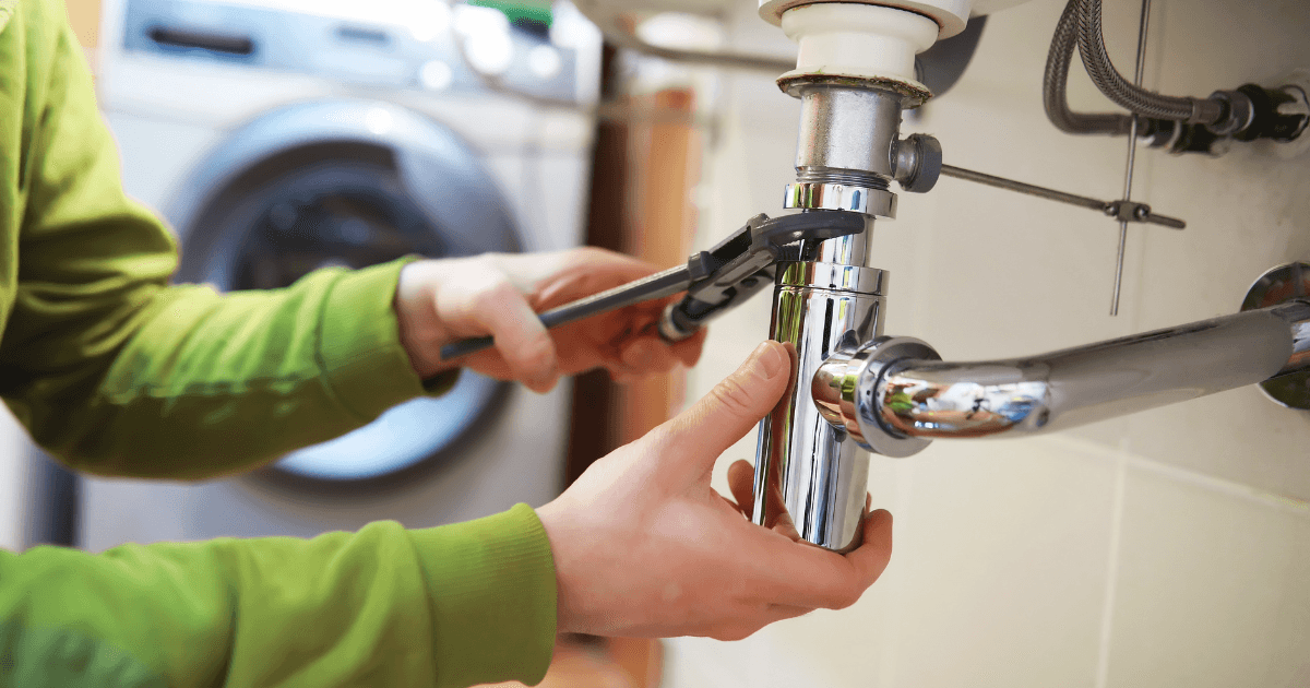 Understanding Your Sewer Responsibilities as a Homeowner