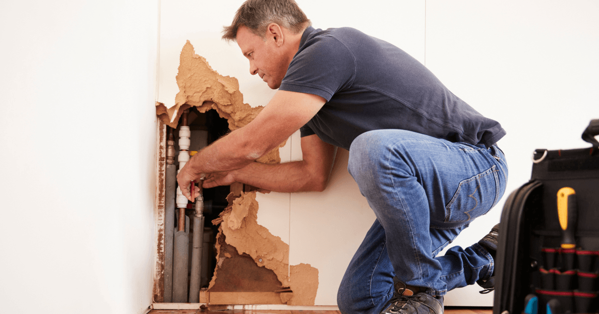 What You Need to Know About Pipe Bursting in 2024