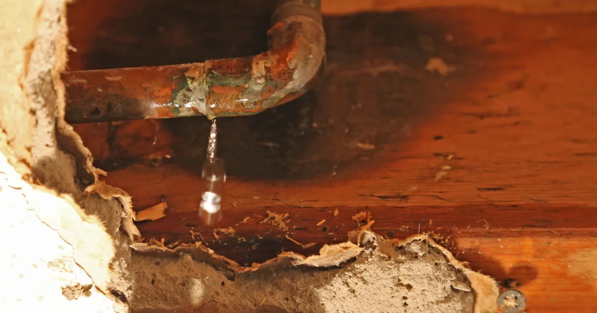 Ways to Prevent Hard Water Damage in Your Plumbing System